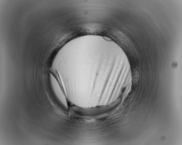 X0000097920456200804111144