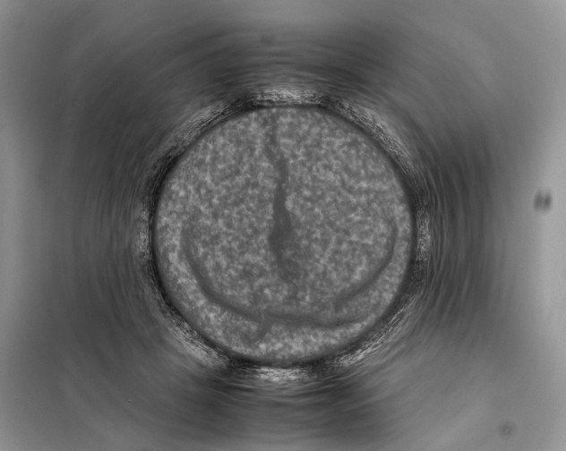 X0000097920457200804111144