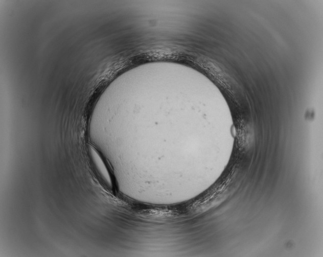 X0000097920458200804111144