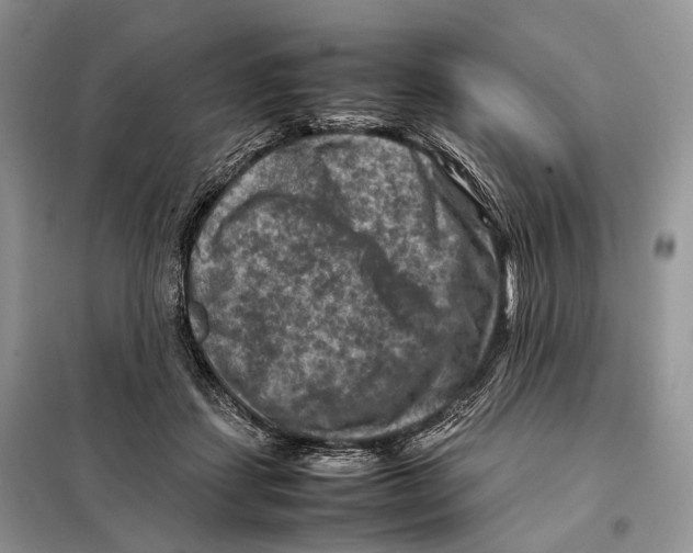 X0000097920459200804111144