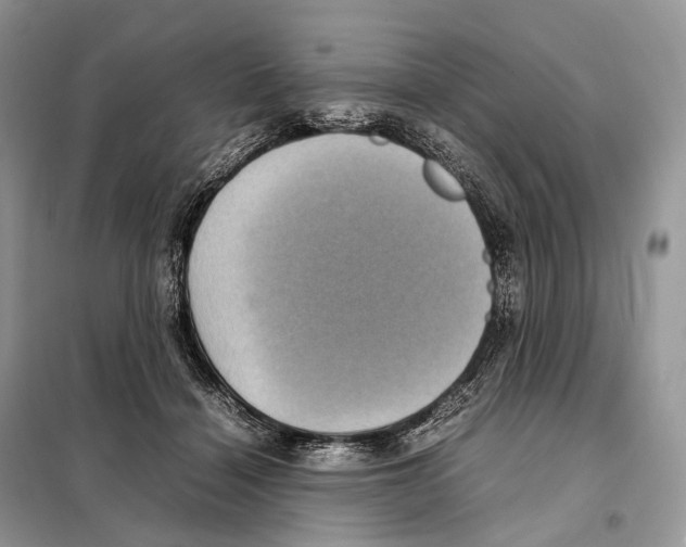 X0000097920460200804111144