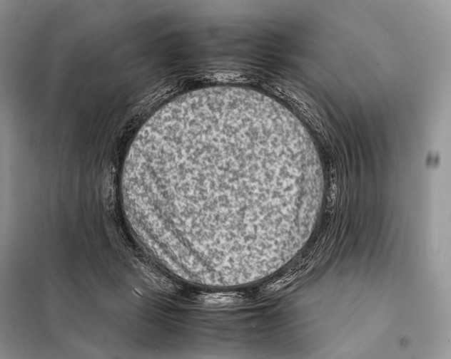 X0000097920461200804111144