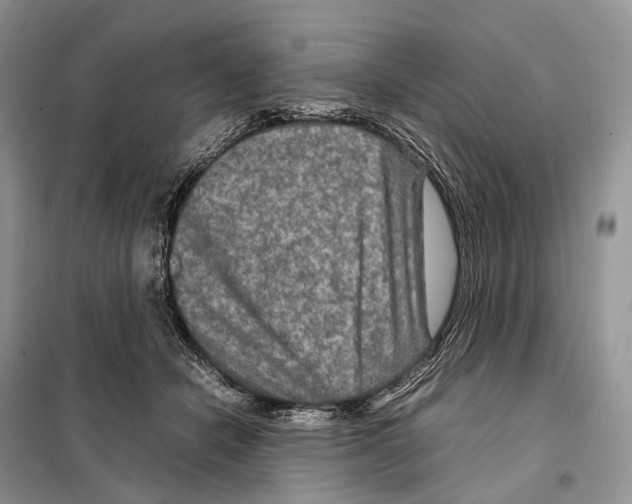 X0000097920462200804111144