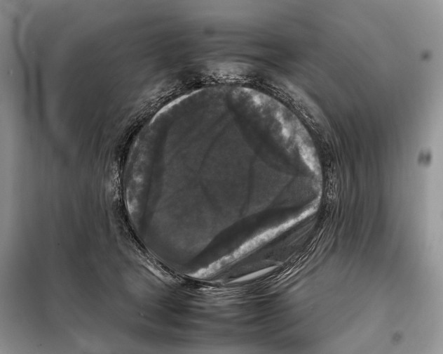 X0000097920465200804111144