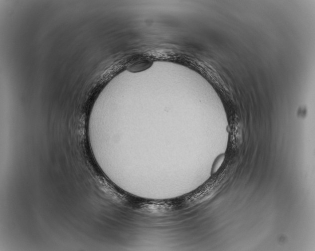 X0000097920466200804111144