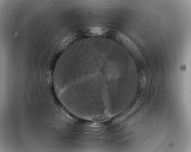 X0000097920467200804111144