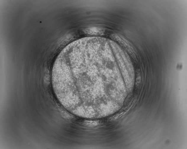 X0000097920469200804111144