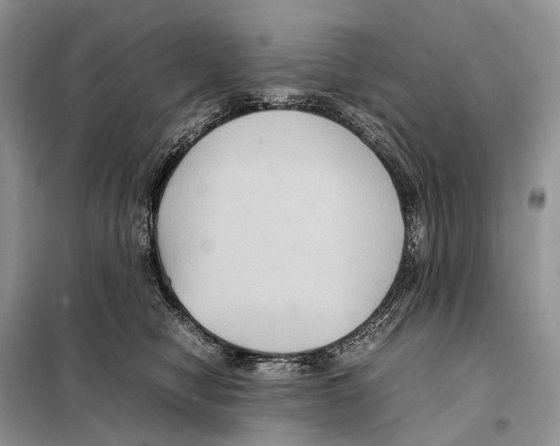 X0000097920470200804111144