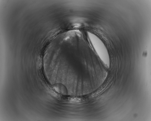 X0000097920471200804111144