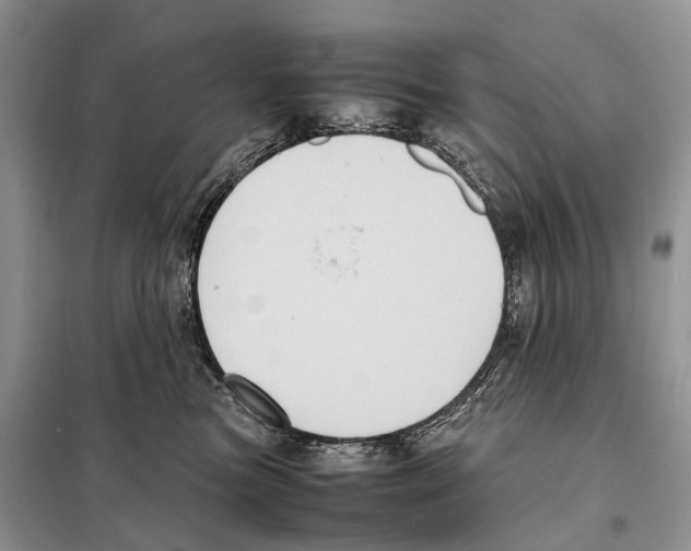 X0000097920473200804111144