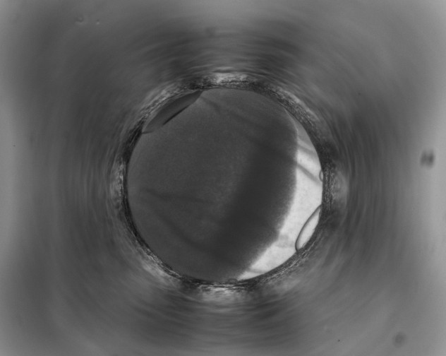 X0000097920475200804111144