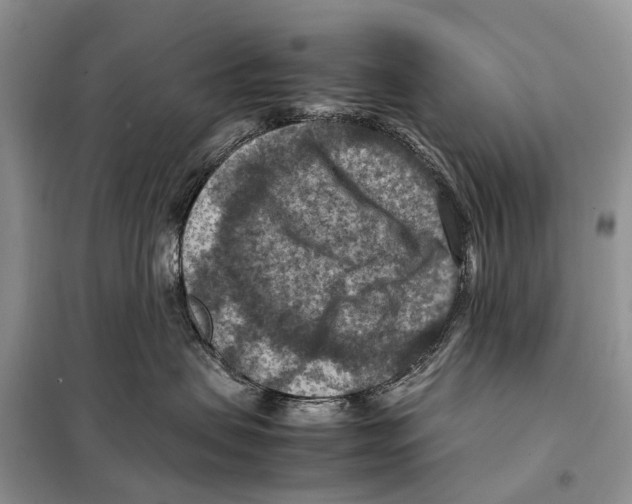 X0000097920479200804111145