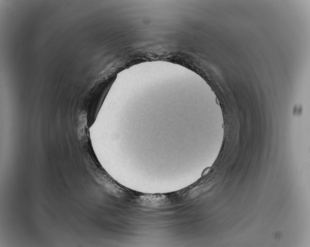 X0000097920480200804111145