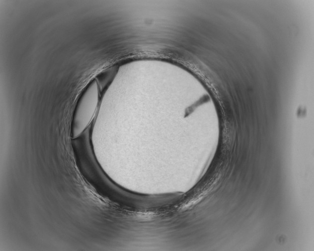 X0000097920481200804111144