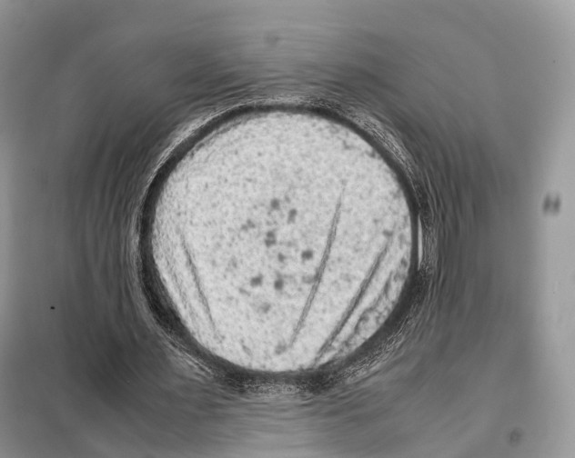 X0000097920483200804111144