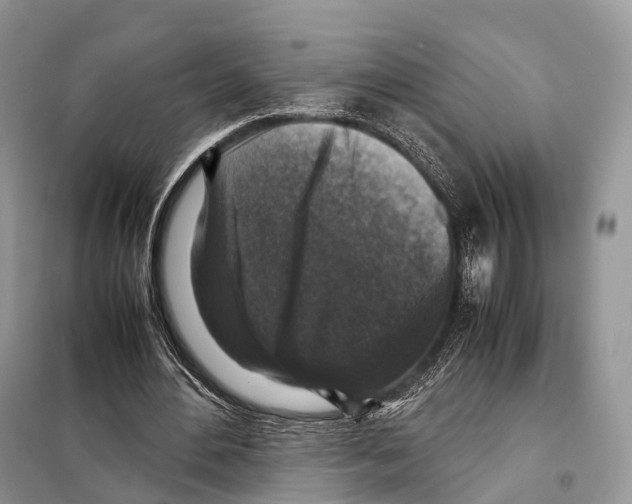 X0000097920484200804111144