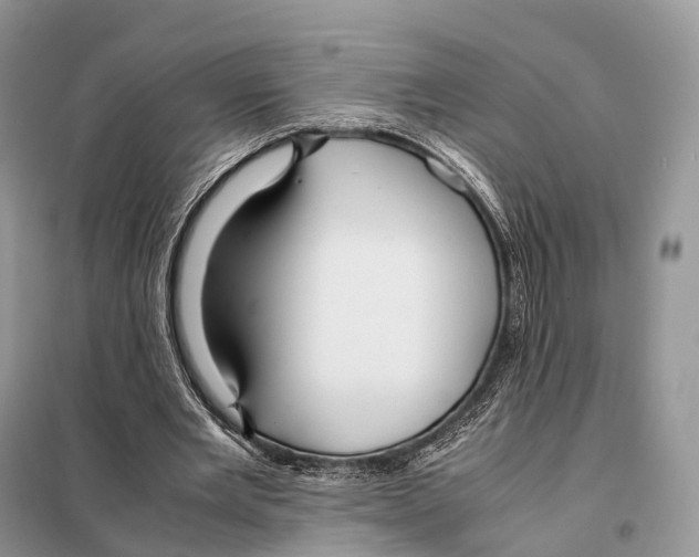 X0000097920485200804111144