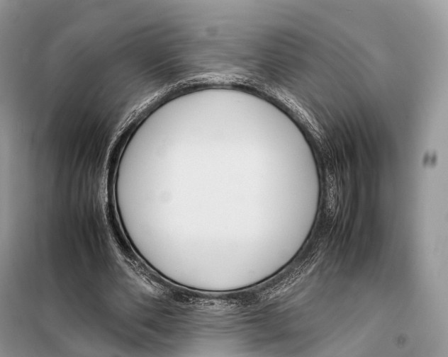 X0000097920486200804111144