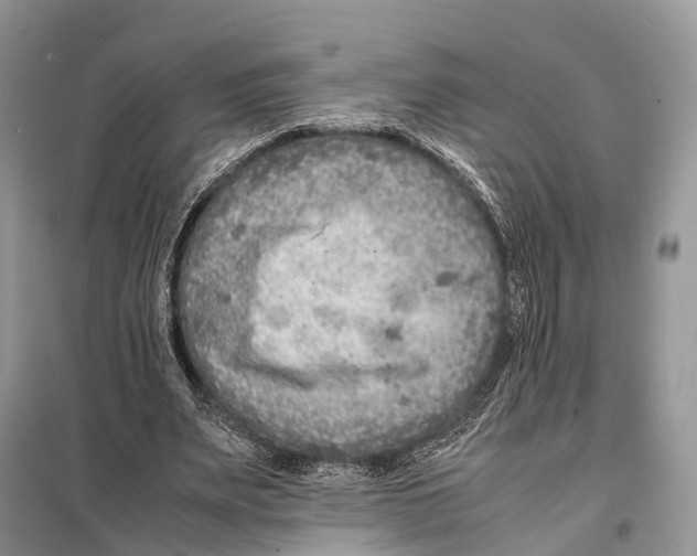 X0000097920487200804111144