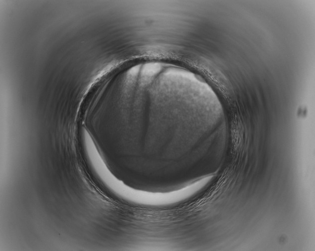 X0000097920488200804111144