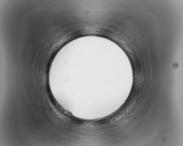 X0000097920489200804111144