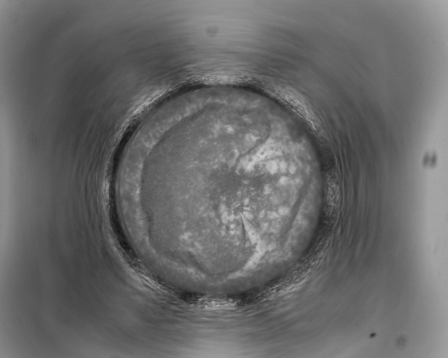 X0000097920491200804111144