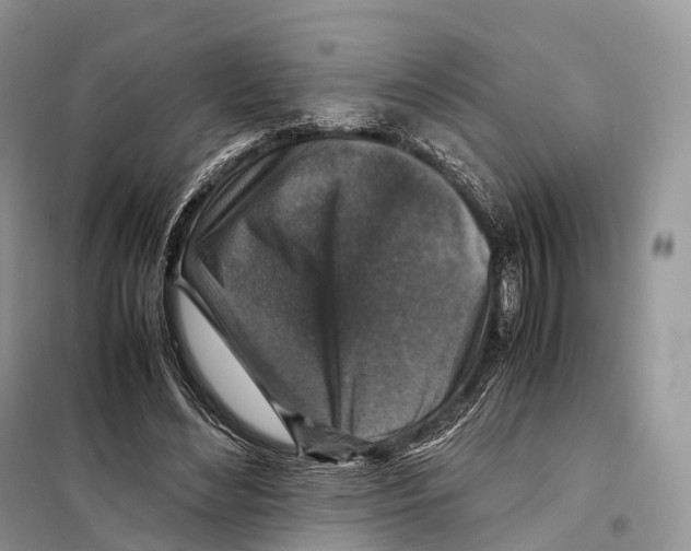 X0000097920492200804111144