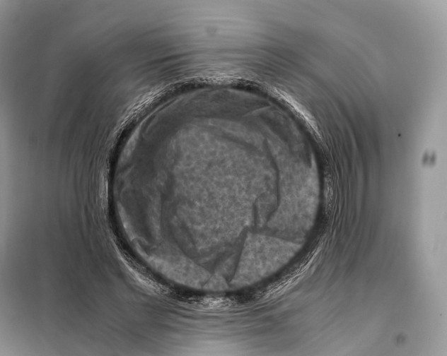 X0000097920493200804111144