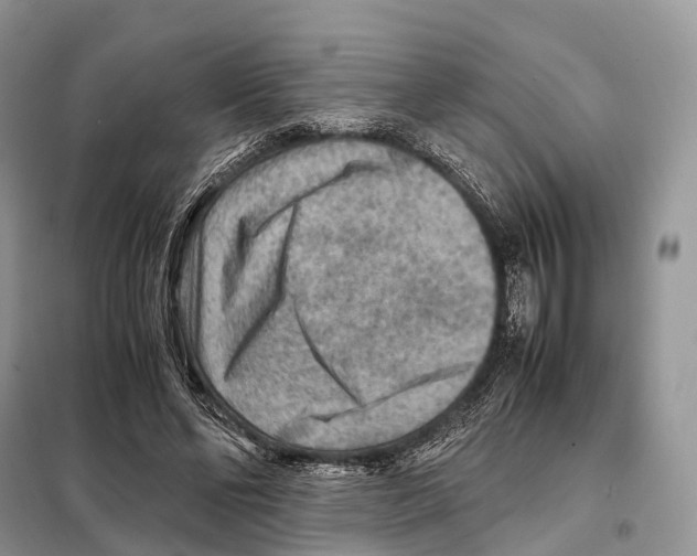 X0000097920494200804111143