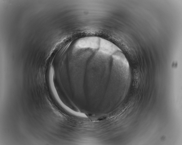 X0000097920496200804111143