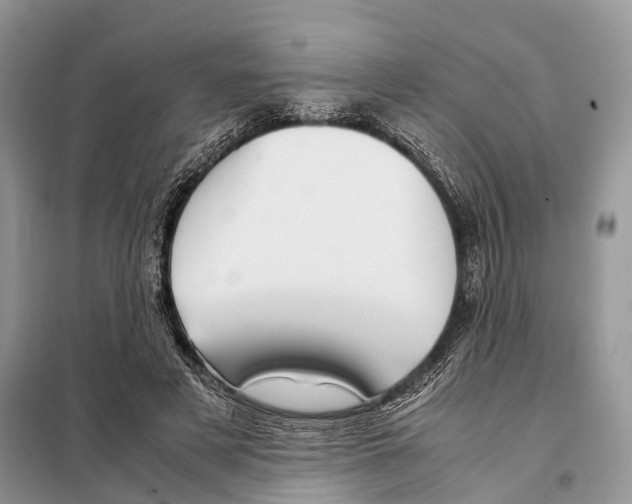 X0000097920497200804111143