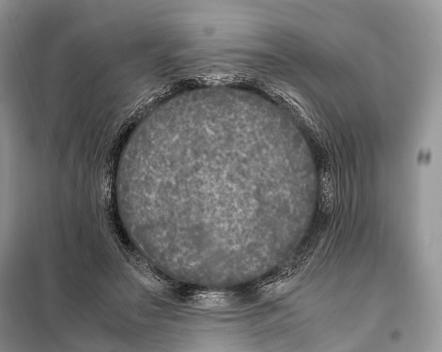 X0000097920499200804111143