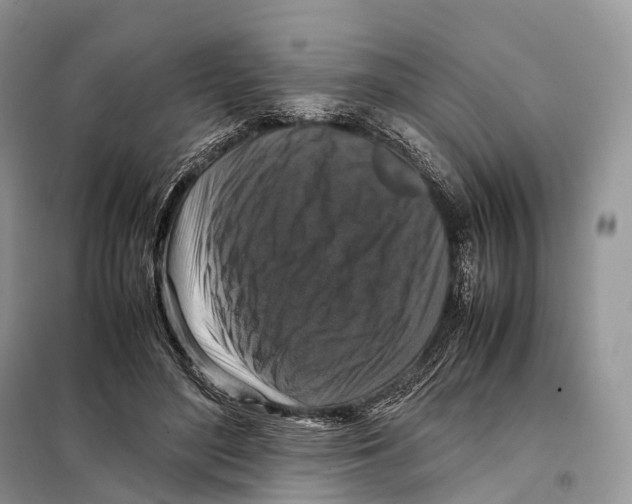 X0000097920500200804111143