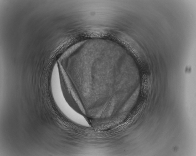 X0000097920501200804111143