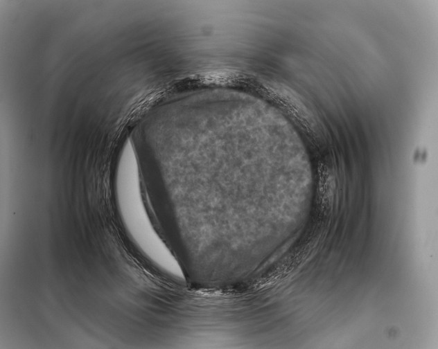 X0000097920502200804111143