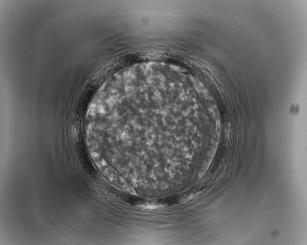 X0000097920503200804111143