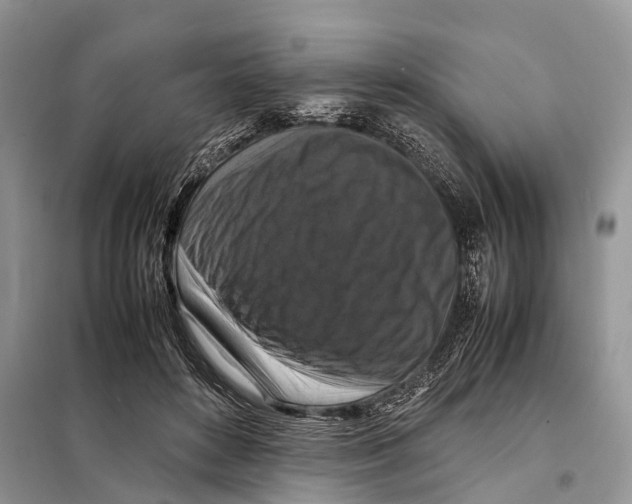 X0000097920504200804111143