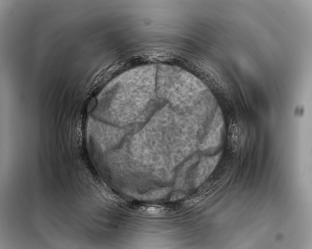 X0000097920506200804111143