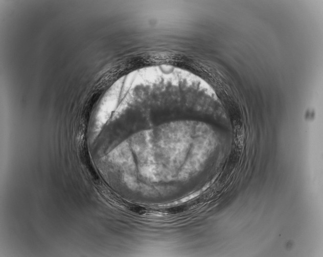 X0000097920507200804111143