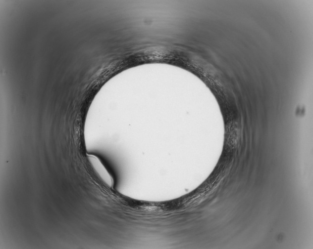 X0000097920509200804111143