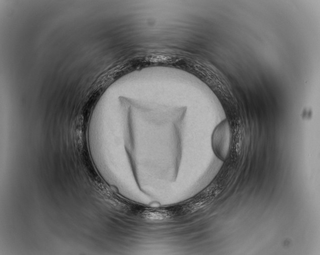 X0000097920510200804111143