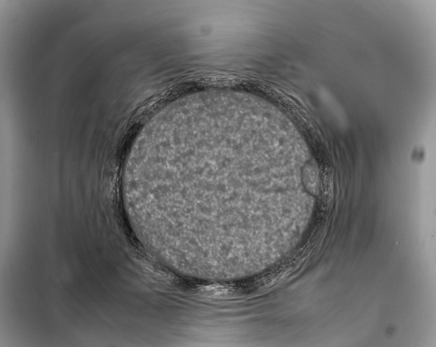 X0000097920511200804111143