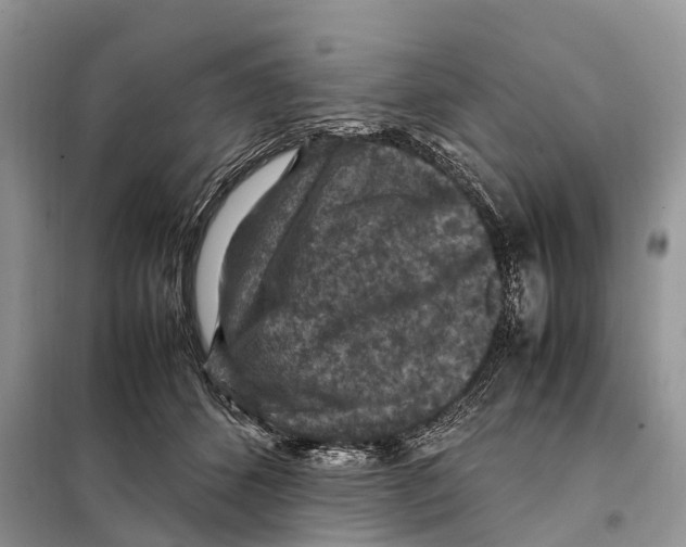 X0000097920512200804111143