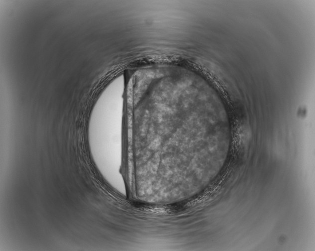 X0000097920513200804111143