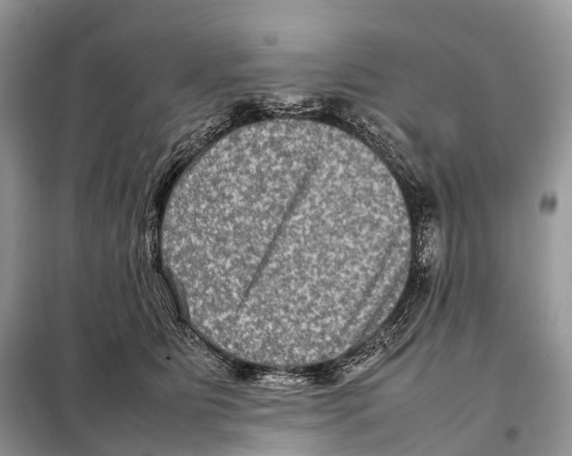 X0000097920515200804111143