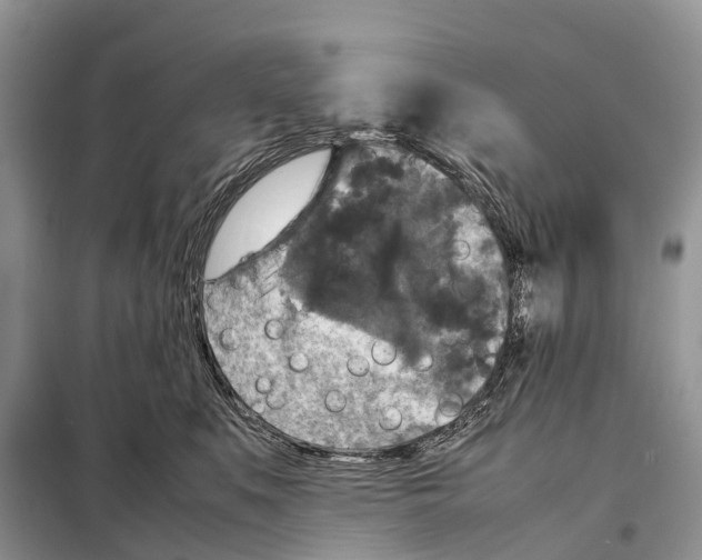 X0000097920519200804111143