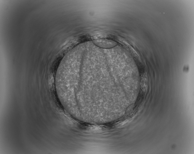 X0000097920523200804111143