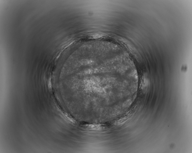 X0000097920524200804111143