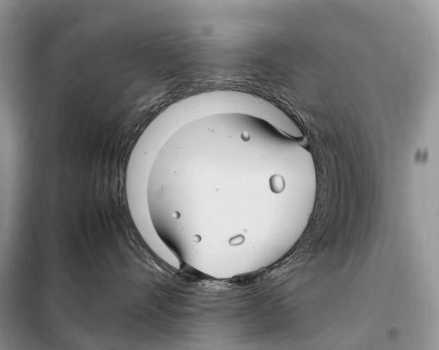 X0000097920528200804111143