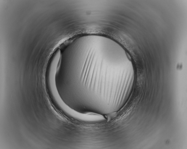 X0000097920530200804111142